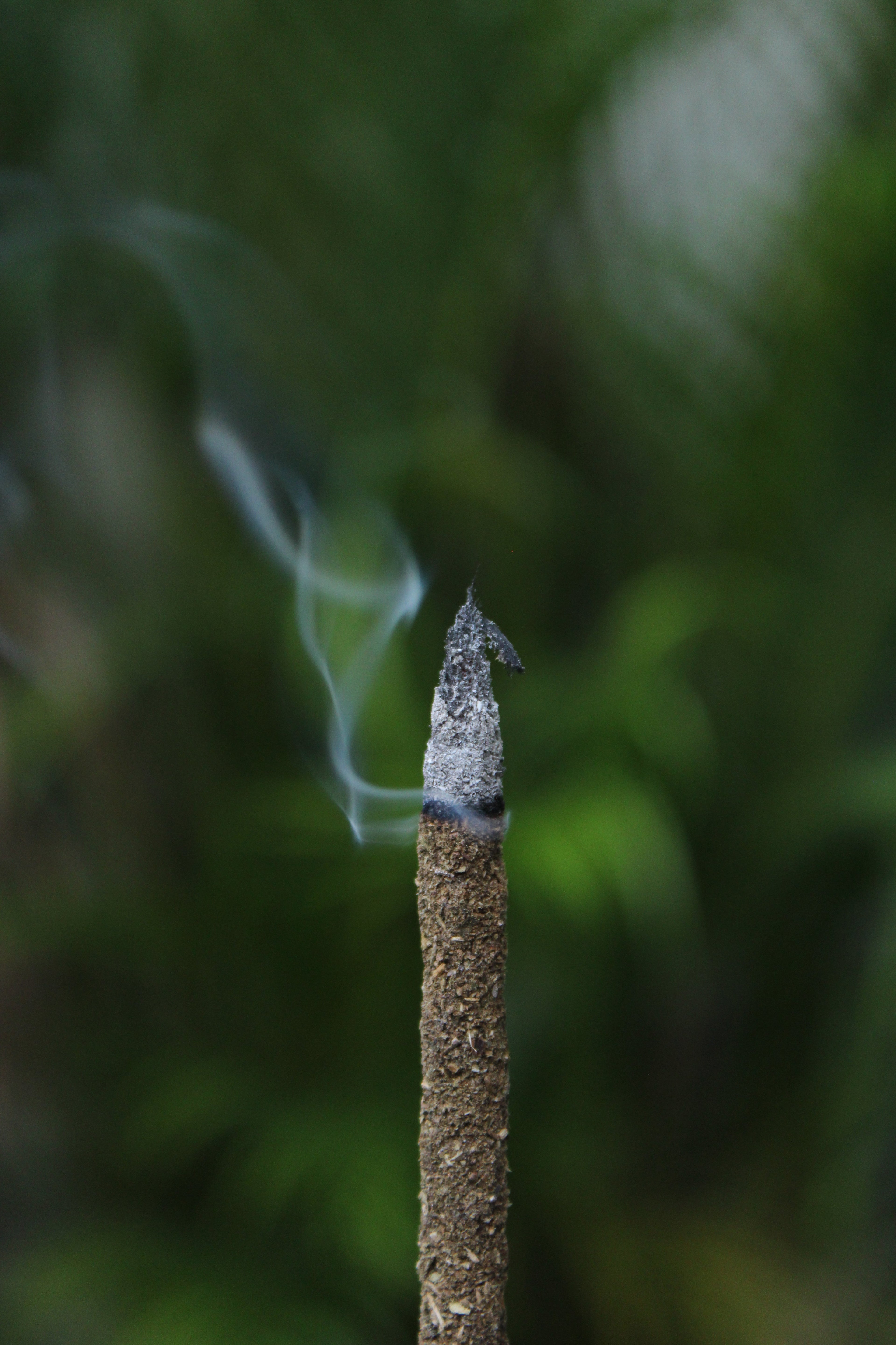 Incienso en varillas