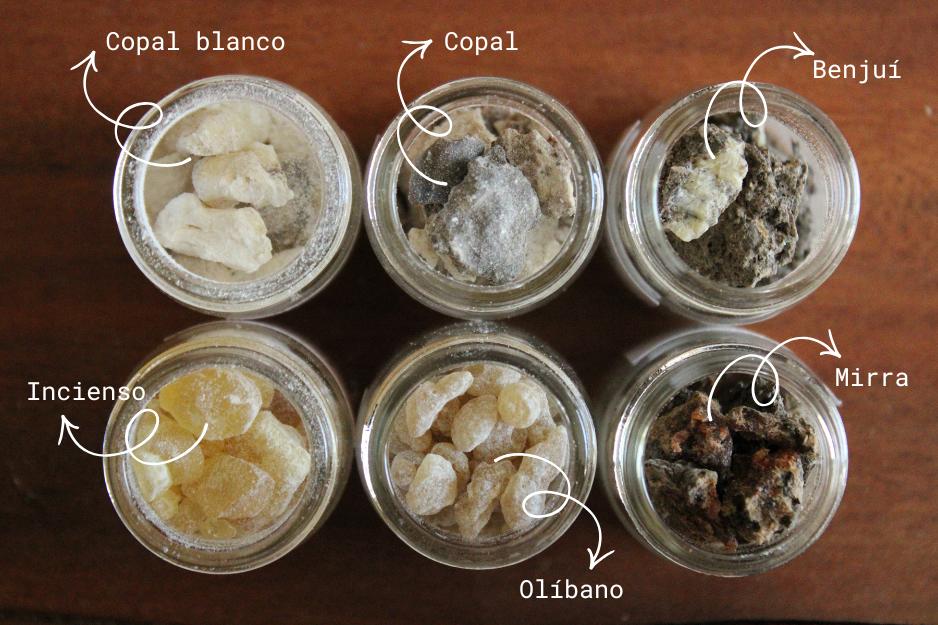 Kit experiencia sensorial